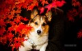 Hund hinter Red Maple Leaves Gemälden von Fotos zu Kunst